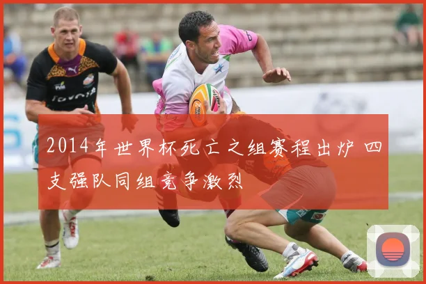 2014年世界杯死亡之组赛程出炉 四支强队同组竞争激烈