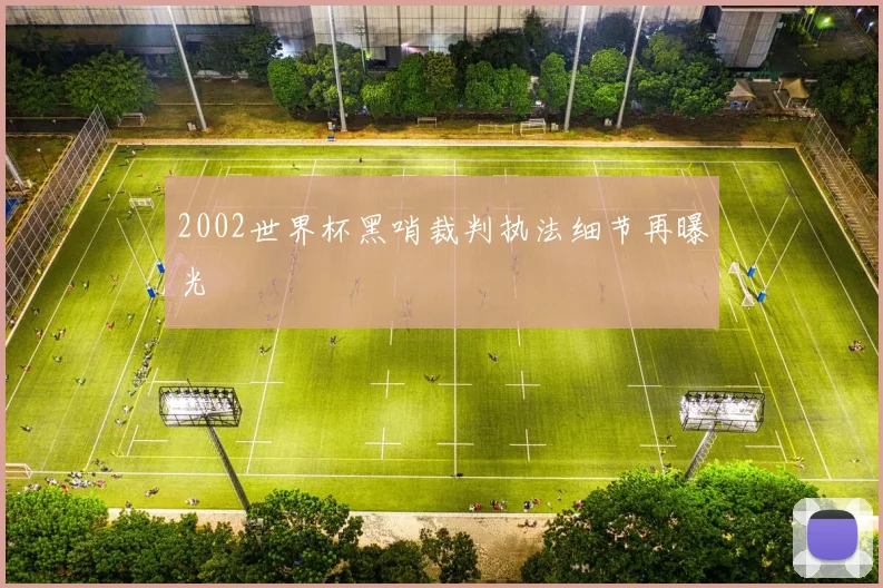 2002世界杯黑哨裁判执法细节再曝光