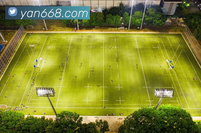 开云app在线入口发展历程